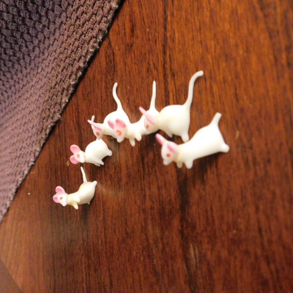 Mouse Collection Plastic Micro Small toys - Picture 4 of 4